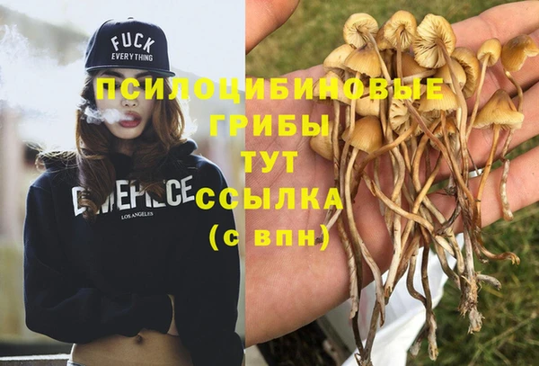 мескалин Абинск